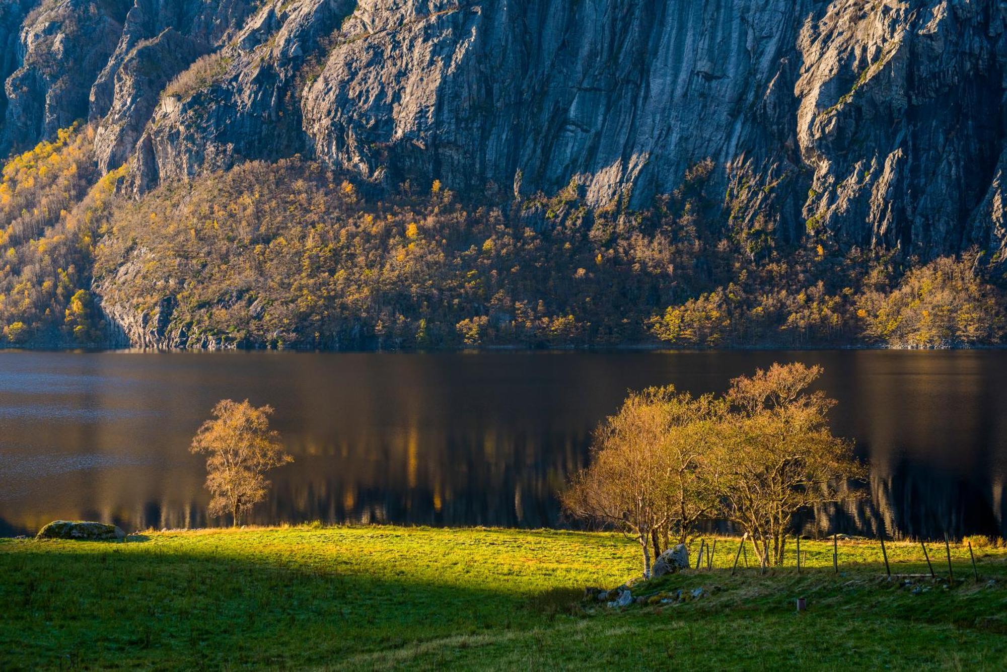 Hytte Ved Preikestolen Forsand المظهر الخارجي الصورة